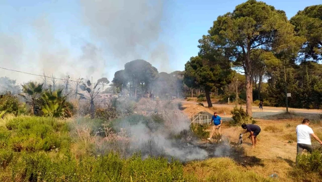 Antalya'da yangın! Alevler önce lüks teknelere sonra ormana sıçradı