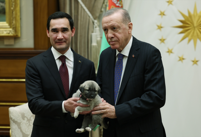 Cumhurbaşkanı Erdoğan ve Berdimuhamedov birbirlerine köpek hediye etti