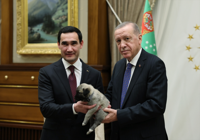 Cumhurbaşkanı Erdoğan ve Berdimuhamedov birbirlerine köpek hediye etti