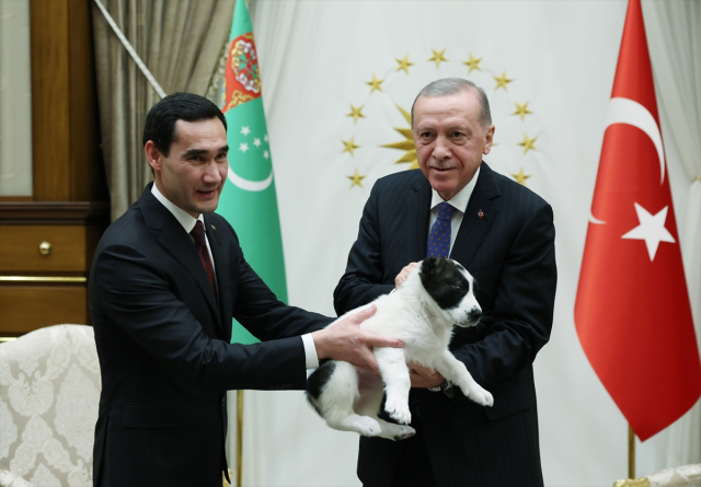 Cumhurbaşkanı Erdoğan ve Berdimuhamedov birbirlerine köpek hediye etti