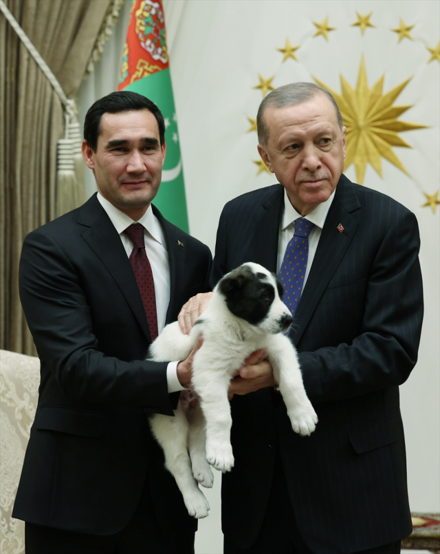 Cumhurbaşkanı Erdoğan ve Berdimuhamedov birbirlerine köpek hediye etti