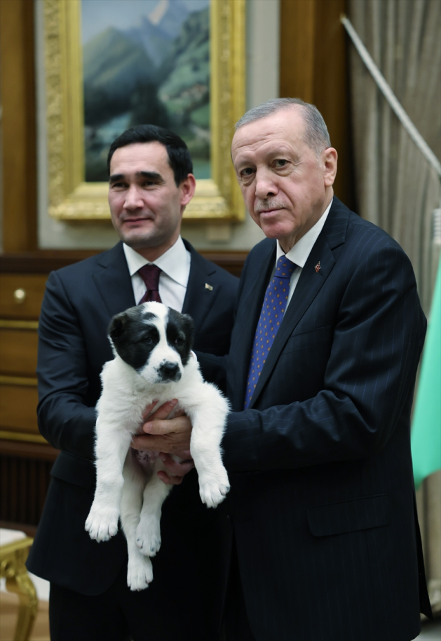 Cumhurbaşkanı Erdoğan ve Berdimuhamedov birbirlerine köpek hediye etti