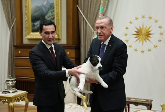 Cumhurbaşkanı Erdoğan ve Berdimuhamedov birbirlerine köpek hediye etti