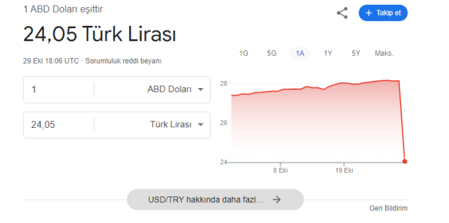 Dolar kaç lira? Google'ın hatası ortalığı karıştırdı