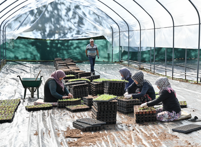 Bursa'nın çiçekleri Kelesli çiftçilerin emeğiyle açıyor