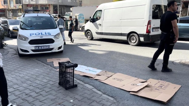 Dikkatsiz sürücü 5 yaşındaki çocuğu ezerek öldürdü! Görgü tanıklarının iddiası vahim