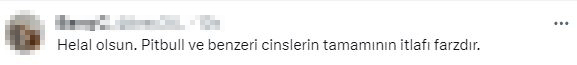 Kendisine ve kızına saldıran pitbull'u çekip vurdu! O anlar kamerada