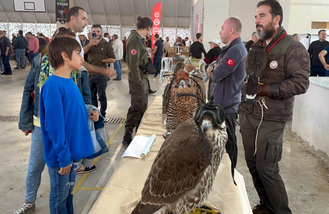 Festivalde cins tavuklar 15 bin liraya, güvercinler ise 150 bin liraya kadar alıcı buldu