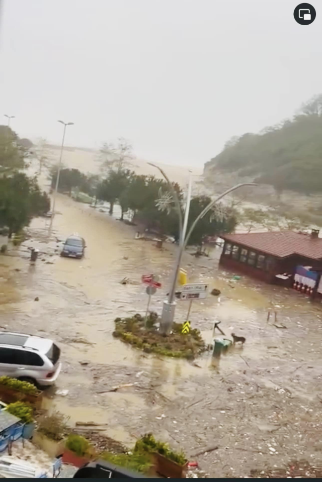 İstanbul'da fırtına! Şile'de dere taştı, Beykoz'da ağaç devrildi