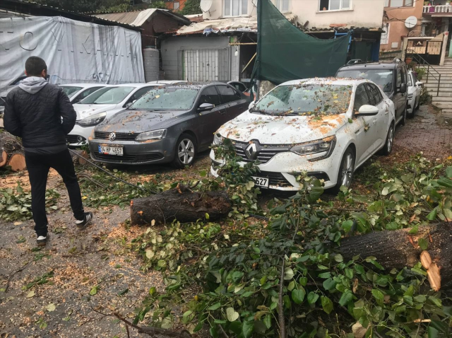 İstanbul'da sağanak alarmı! Valilik saat verdi, fırtına ağaçları devirdi