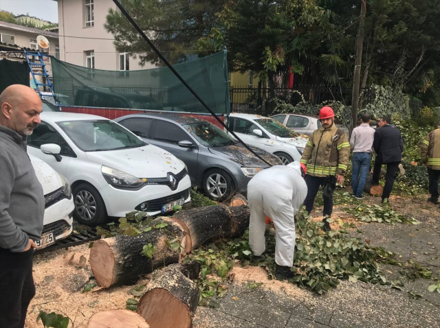 İstanbul'da sağanak alarmı! Valilik saat verdi, fırtına ağaçları devirdi