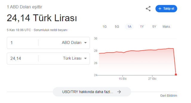 Dolar 24 TL'ye mi düştü? Google'ın hatası yatırımcılarda kısa süreli panik yarattı