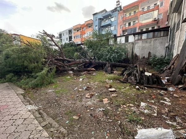 Muğla'da çıkan hortum koca ağaçları yerinden söktü, çatıları uçurdu