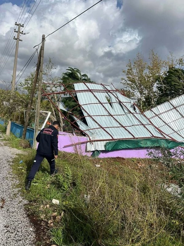 Muğla'da çıkan hortum koca ağaçları yerinden söktü, çatıları uçurdu