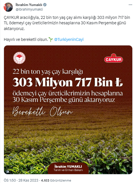 303,7 milyonluk ödeme 30 Kasım'da çay üreticilerinin hesaplarında olacak