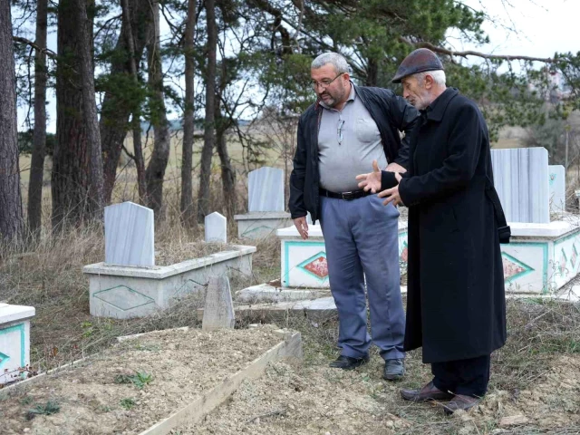 Kastamonu'da ayılar mezarlara dadandı! Vatandaşlar jiletli telle cenazelerini koruyor