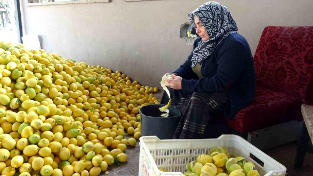 Limonun kendisi para etmeyince kabuğunu satmaya başladılar