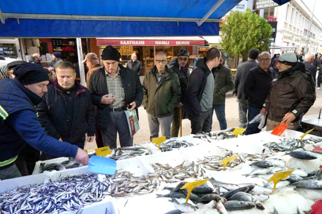 Hamsinin 50 lira olduğunu duyan alabilmek için birbiriyle yarıştı