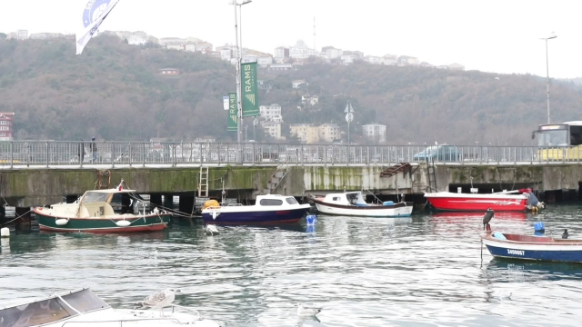 İstanbul Boğazı'ndaki teknelerin 24 metrelik avlanma şartını ihlal ettikleri iddiası tartışma yarattı