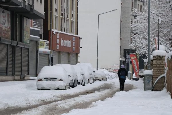 Karın esir aldığı Van'da muhtar koyunları dışarı çıkarmak için 4 metrelik tünel kazdı