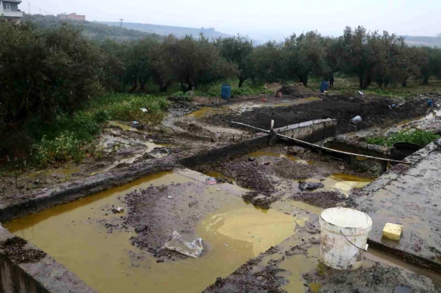 Hatay'daki fabrikada depolar patladı, 50 ton zeytinyağı araziye aktı