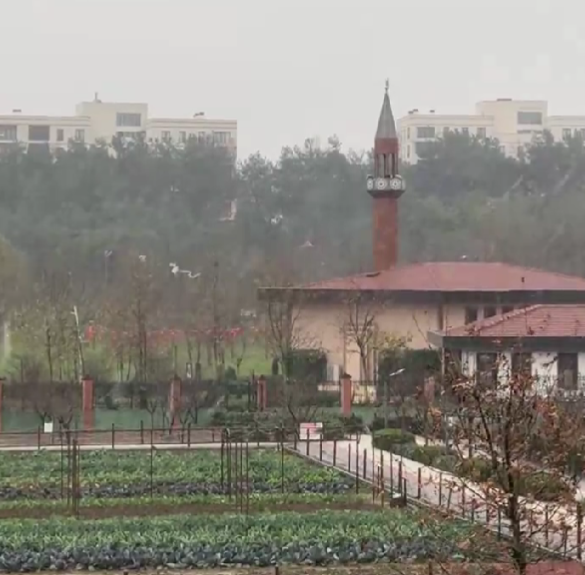 Sıcaklığın 10 derece birden düştüğü İstanbul'da beklenen kar yağışı başladı