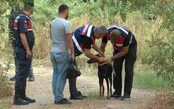 Korhan Berzeg 200 gündür kayıp! Soruşturmada dikkat çeken aile ve köpek detayı