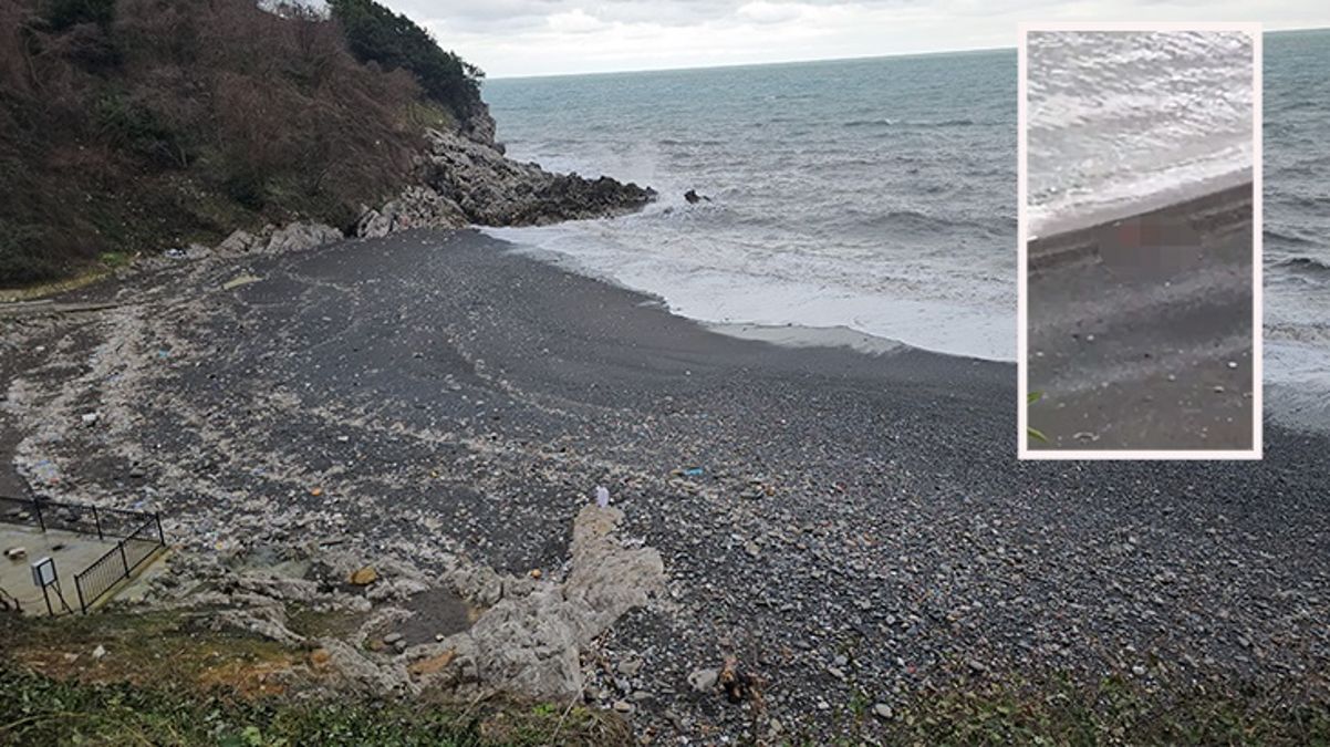 Zonguldak'ta plajda cinsel ilişki görüntülerine inceleme