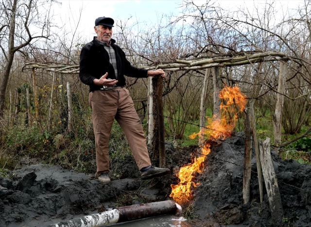 Samsun'da fındık ve çeltik tarlalarında yapılan sondajda yanıcı gaz çıktı