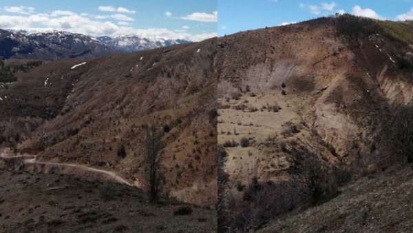 Giresun'da faaliyetleri men edilen holding, Gümüşhane'de işletme ruhsatı aldı