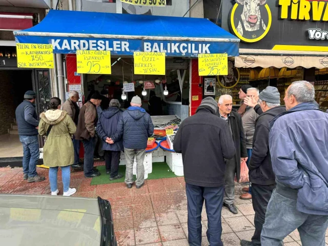 İstavritin kilosu 25 liraya düşünce balıkçı tezgahının önünde kuyruk oluştu