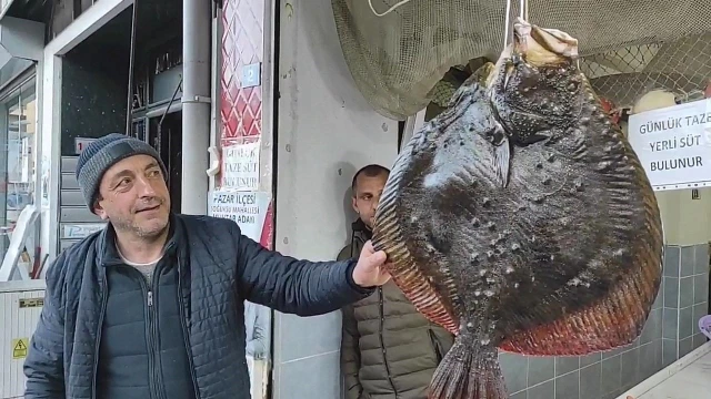 Karadeniz'de nadir görülen Kalkan balığı 7 bin TL'ye satıldı