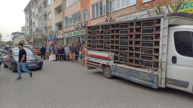 Düzce'de yumurta tavuğu dağıtımında uzun kuyruklar oluştu