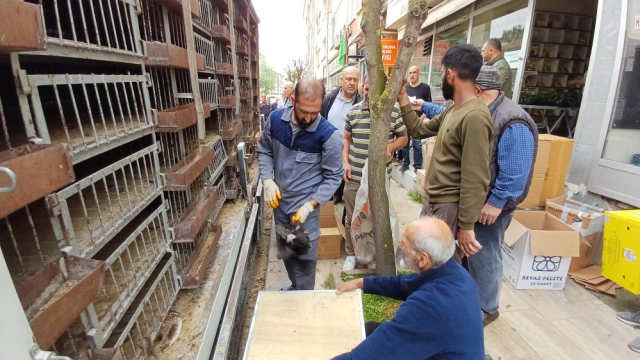 Düzce'de yumurta tavuğu dağıtımında uzun kuyruklar oluştu