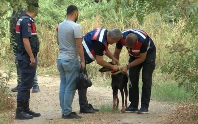 Kayıp ekonomist Korhan Berzeg'le ilgili hayvan saldırısı şüphesi