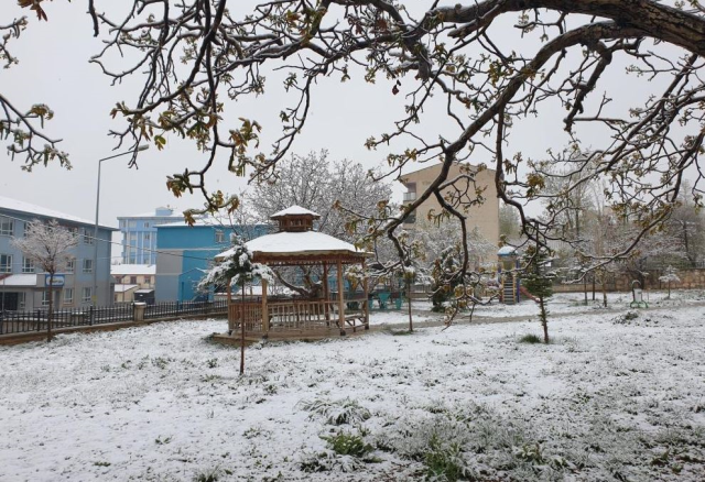 Mayıs ayında kar sürprizi! Vatandaşlar sabaha beyaz örtüyle uyandı