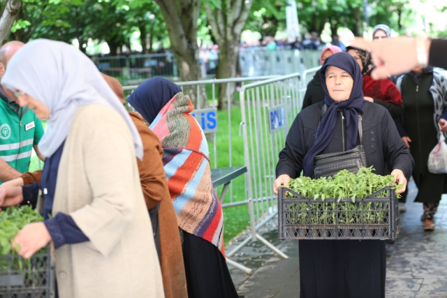 5 bin kişi domates fidesi için kuyruğa girdi